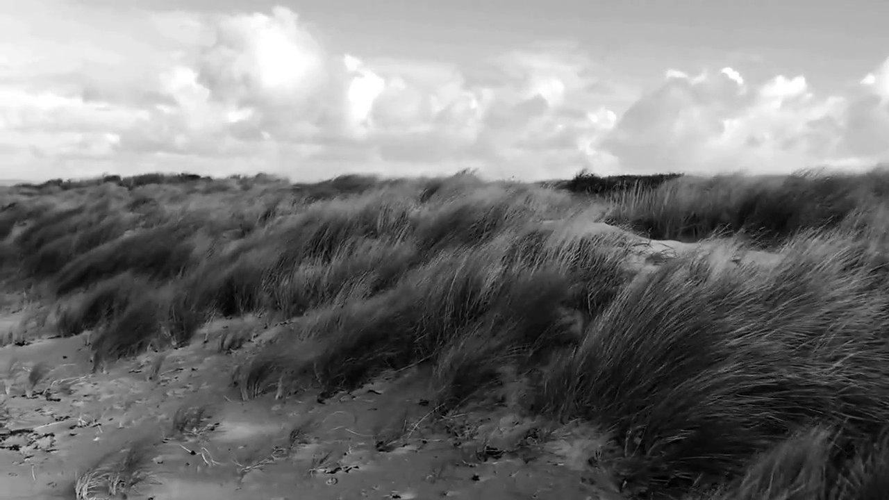 Storm Brian whistling through the grass