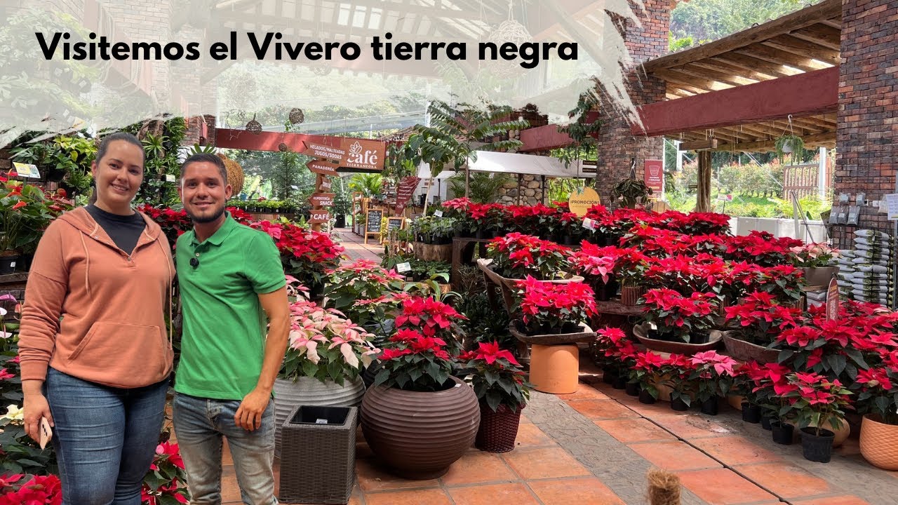IMPRESIONANTE VIVERO DE COLOMBIA | descubre tierra negra