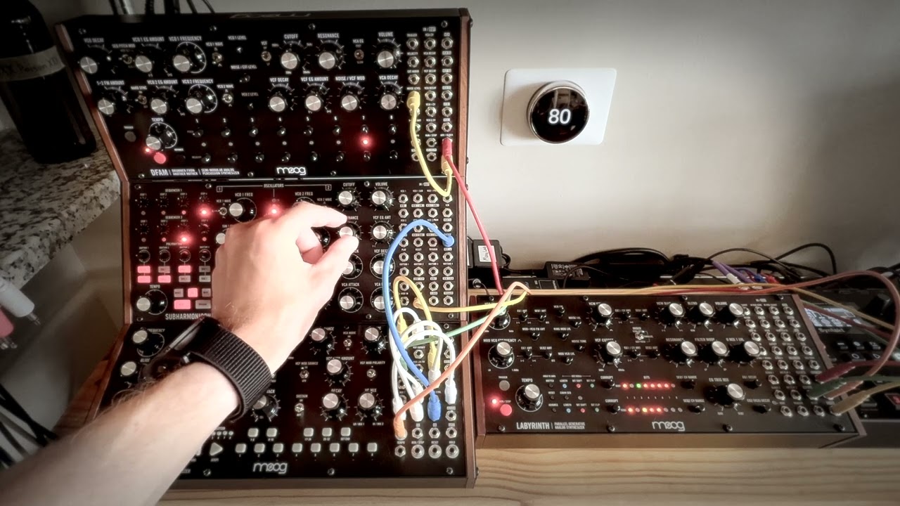Moog Sound Studio through Hologram Microcosm Jam