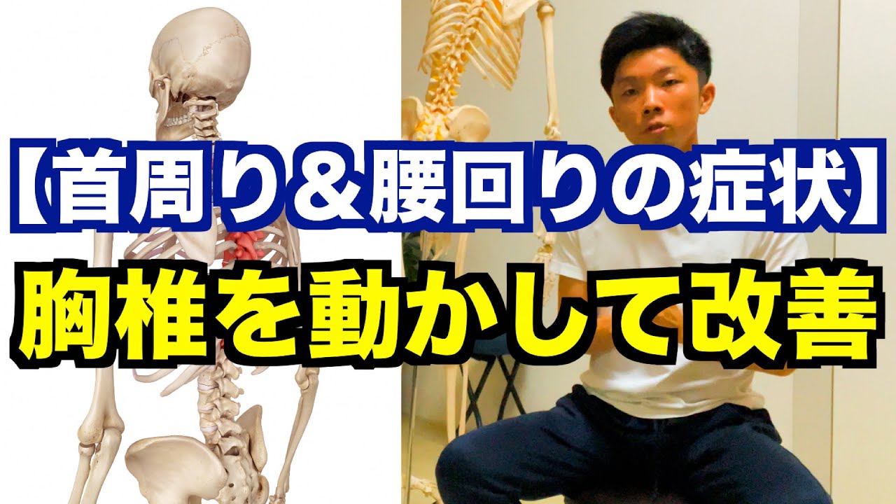 【背骨の症状で悩む人は必見】「首コリ・肩こり」「腰の痛み・背中の張り」で悩んでいる人は必見！座ったまま簡単に出来る「胸椎エクササイズ」を２選！【愛媛県松山市　ピラティス・整体】