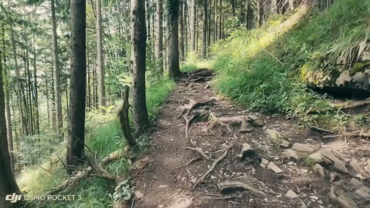 Hike up to Berggasthof Neureuth