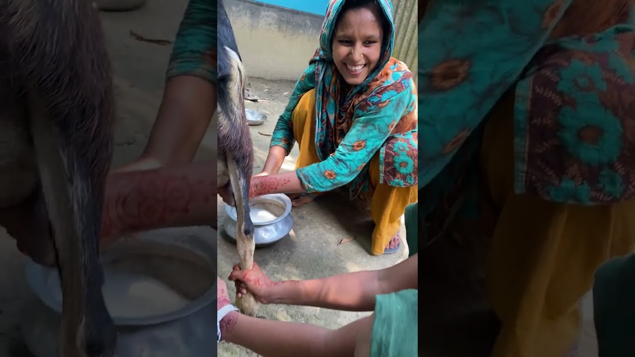 ছাগলের দুধ