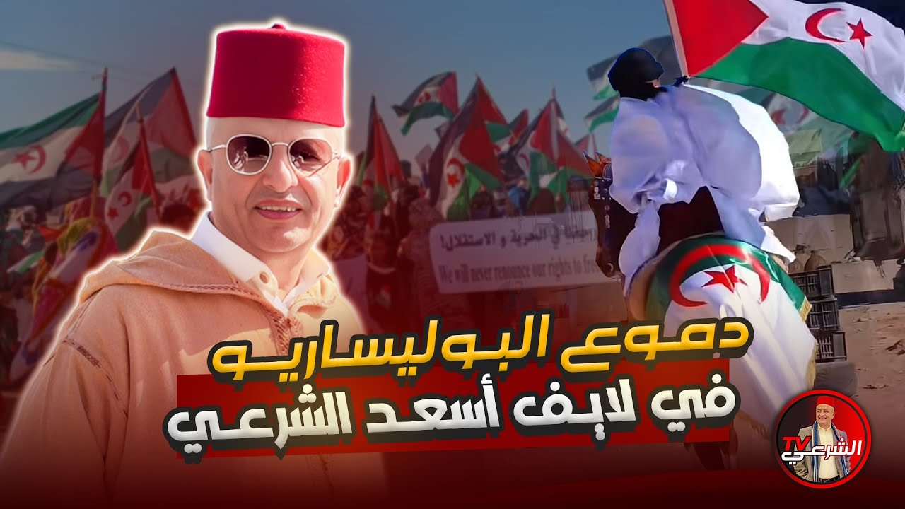 🚨 دموع البوليساريو في لايف أسعد الشرعي 😳 #اسعد_الشرعي #المغرب #الصحراء_المغربية