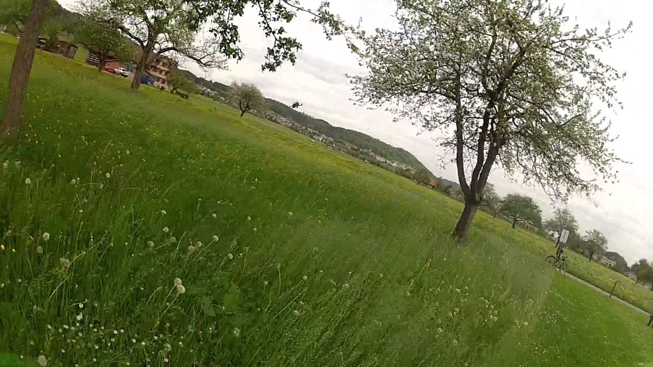 1. Feldhof 250er Race