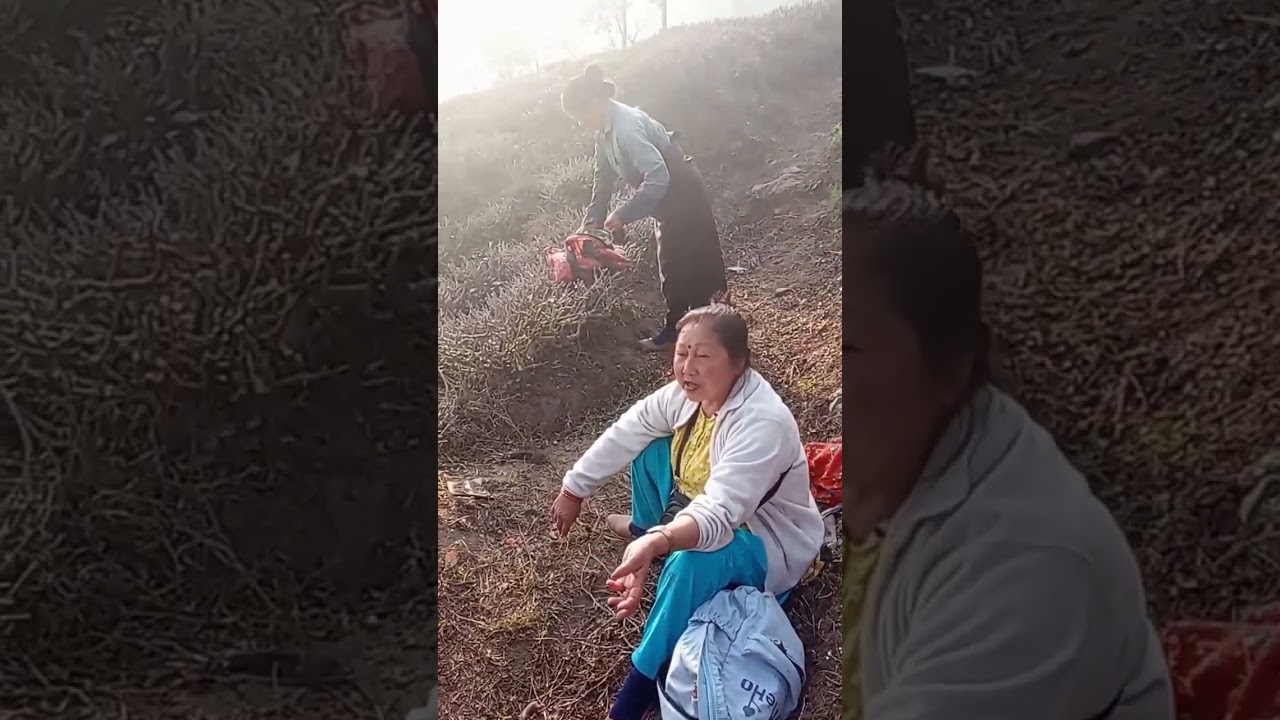 Ek jhalak tea garden ko 