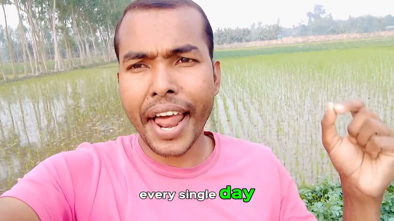বাংলাদেশ থেকে কীভাবে ইংরেজি ভাষার উন্নতি করবেন ।। How you can develop english from Bangladesh ।। 🥀☺️