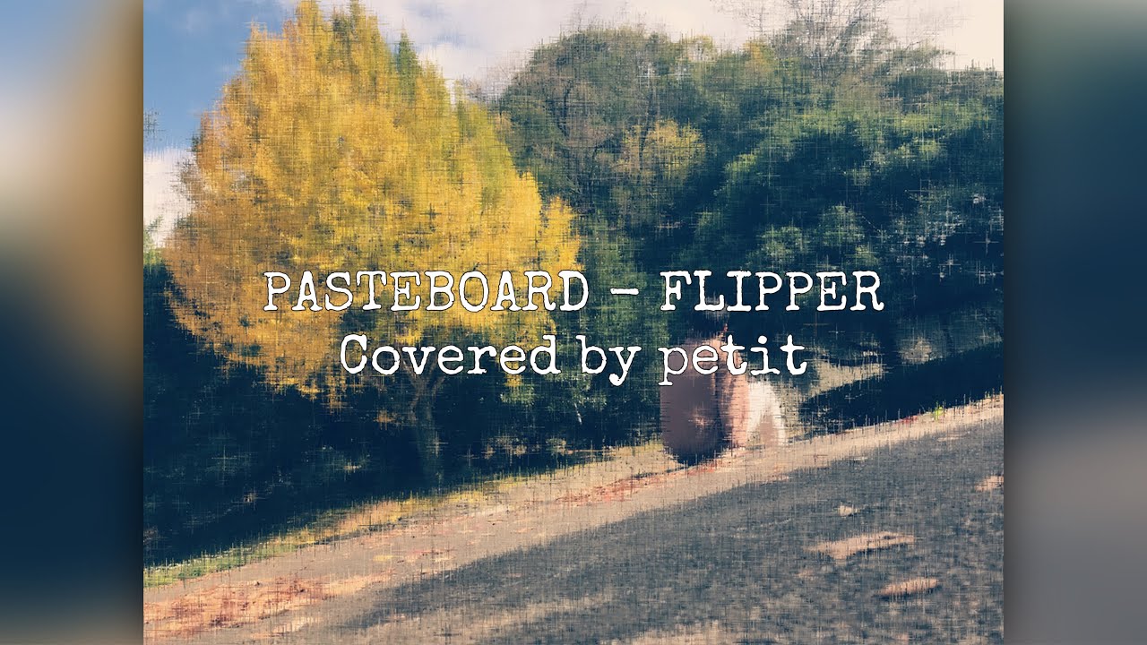 Pasteboard - Flipper (cover)