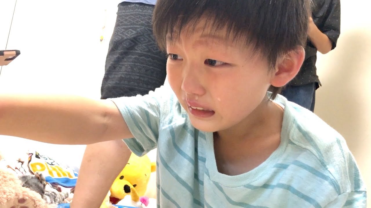 ネコに引っかかれて号泣するこころくん😭【ココロマン普段の様子】