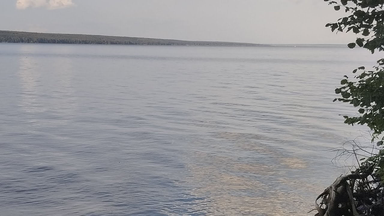 Сурское водохранилище!⭐ г. Пенза! ✨Огромная водяная артерия! ✨Природа, заряд энергией ,купание⭐