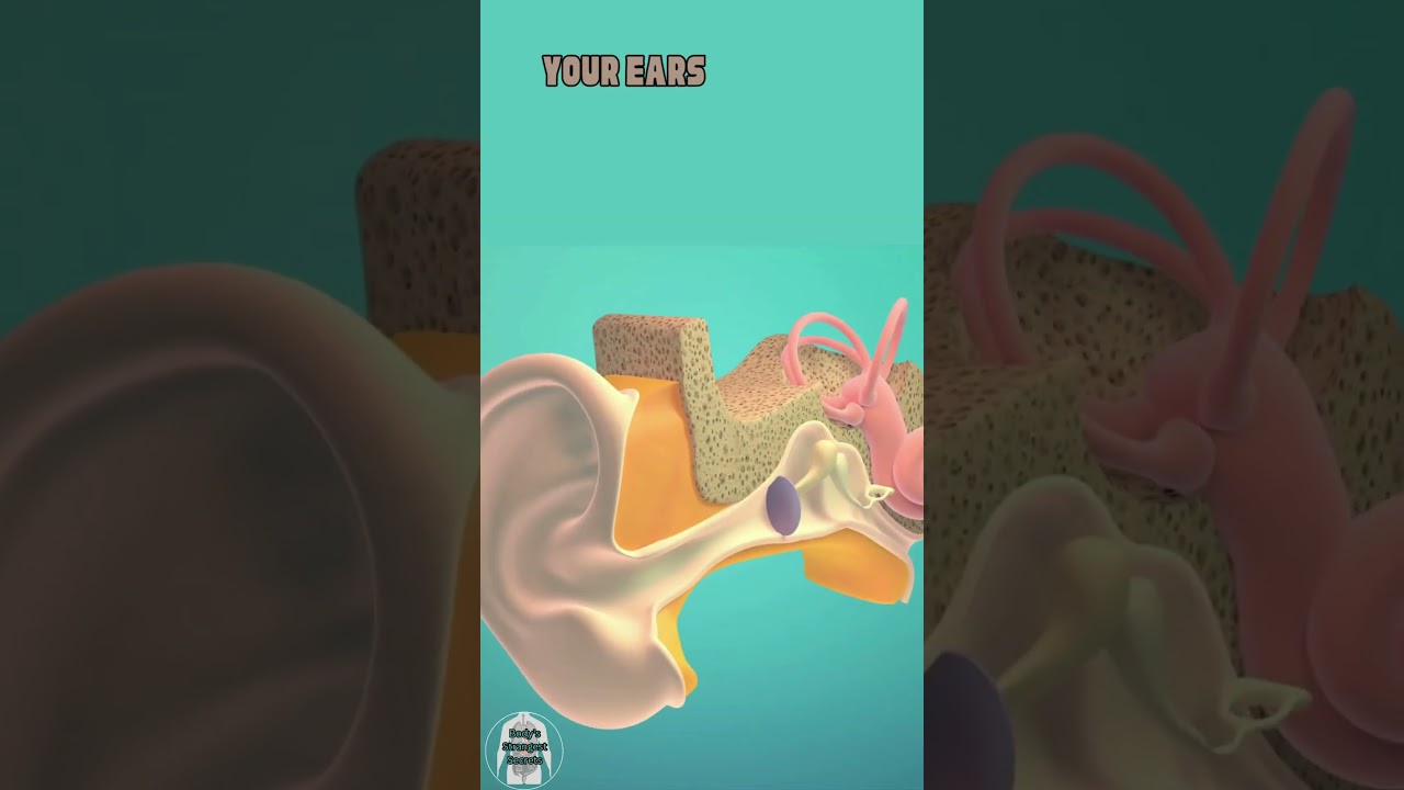 Your balance issues may be coming from your ears!! 