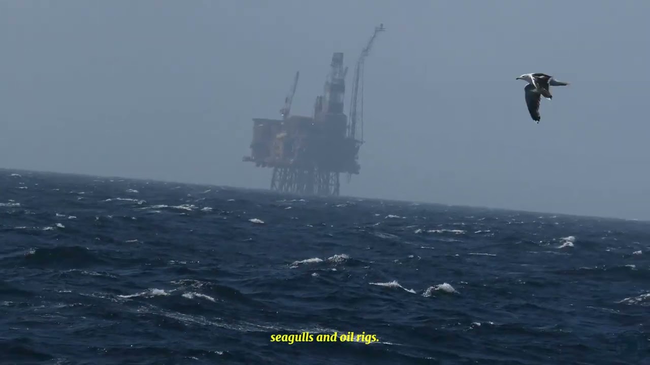 The North Sea