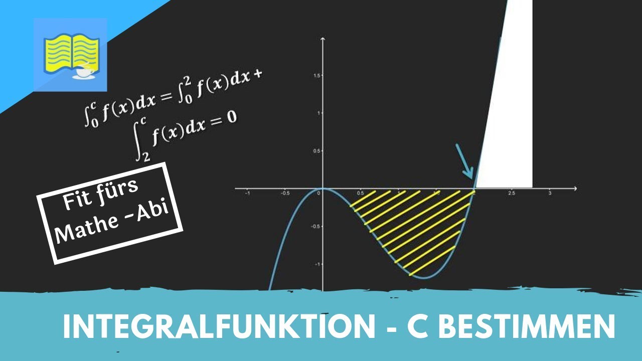 Integralfunktion/ Integrale - Typische Abituraufgabe