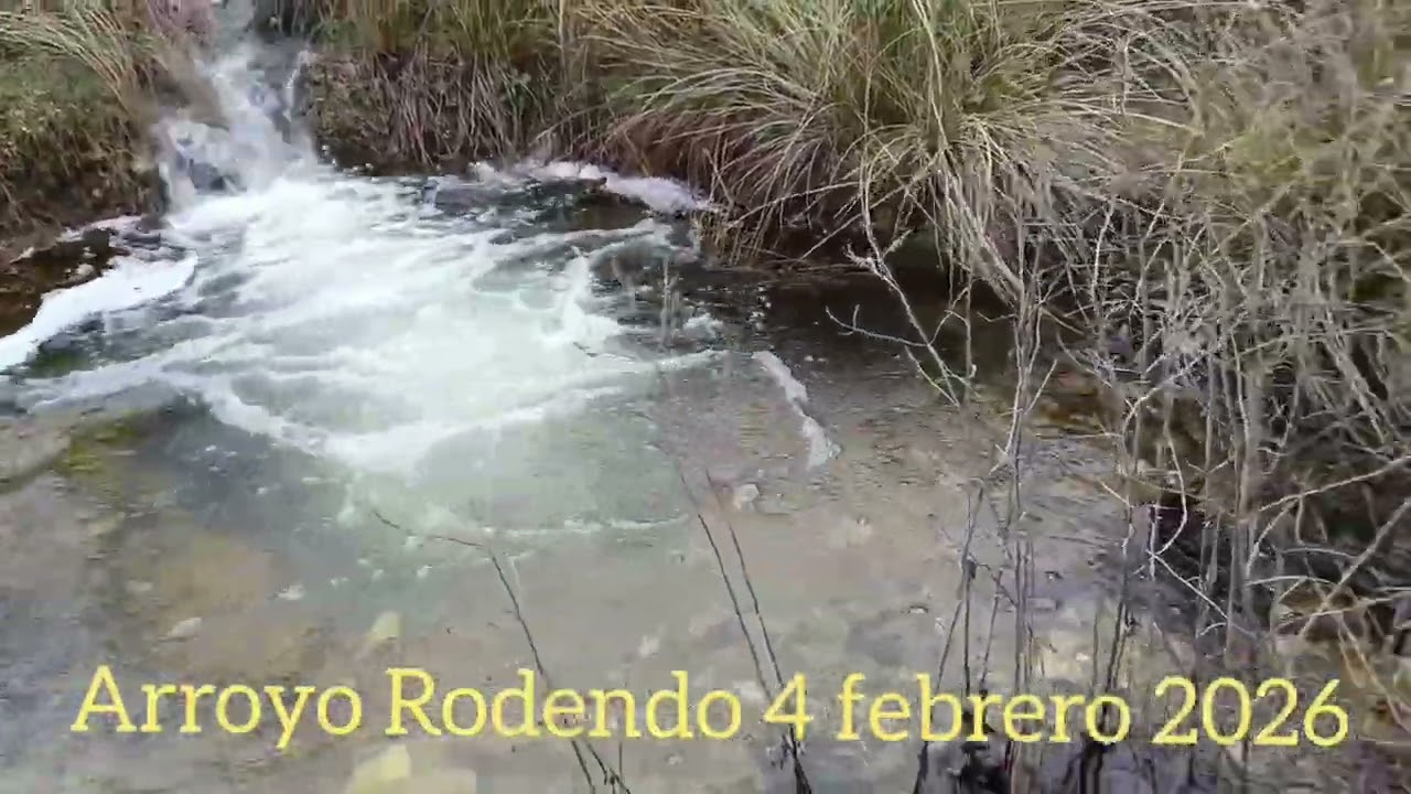 Arroyos de Rodendo y Civijón en Honrubia de la Cuesta (Segovia).