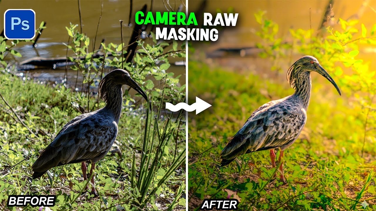 Fix Your Boring Photos with Color Grading & Masking in Camera Raw