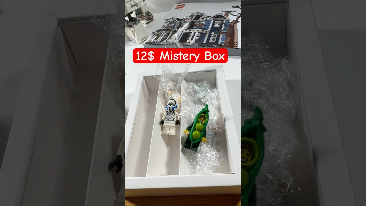 I bought a 12$ Lego Mistery Box! 