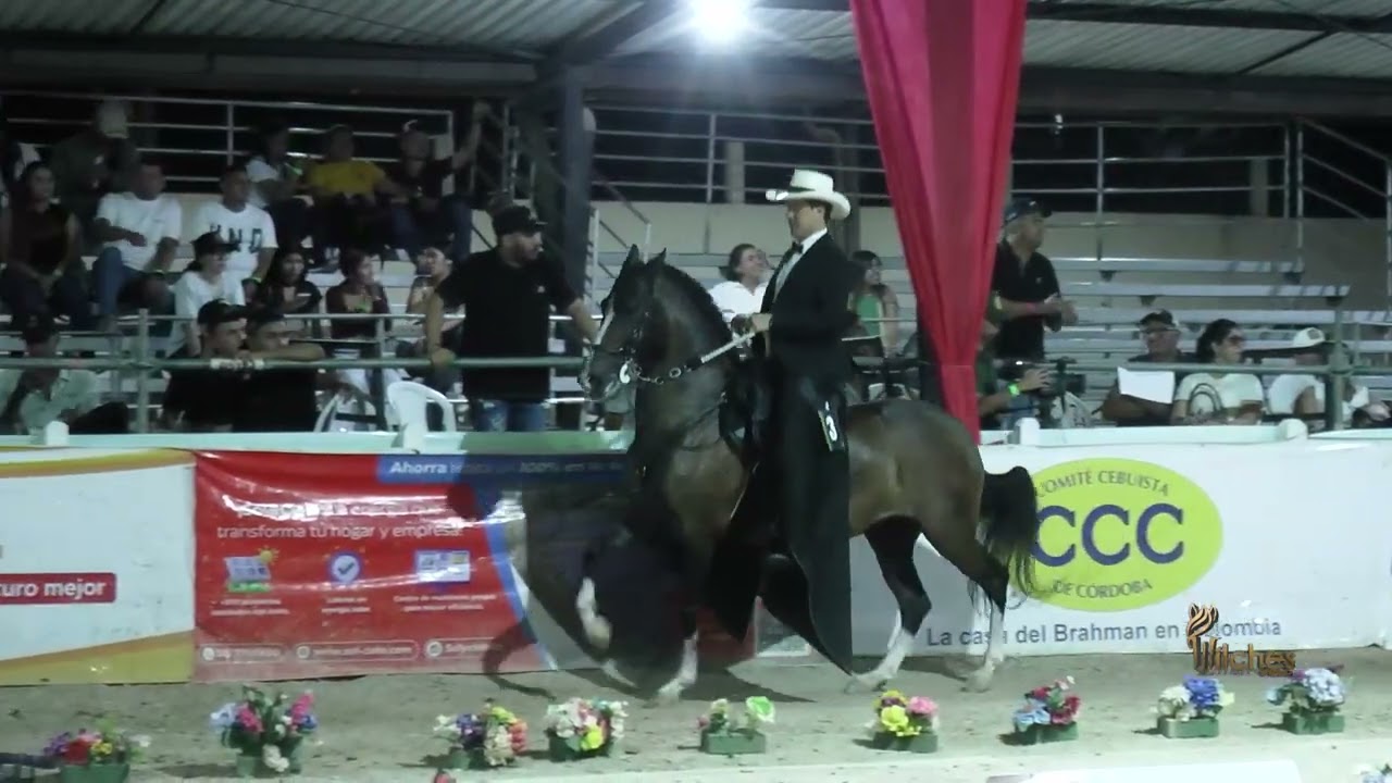 MONALISA DE VILLA MARGARITA, GRAN CAMPEONA TROTE Y GALOPE  LOS POTRILLOS MONTERÍA GRADO B 2026
