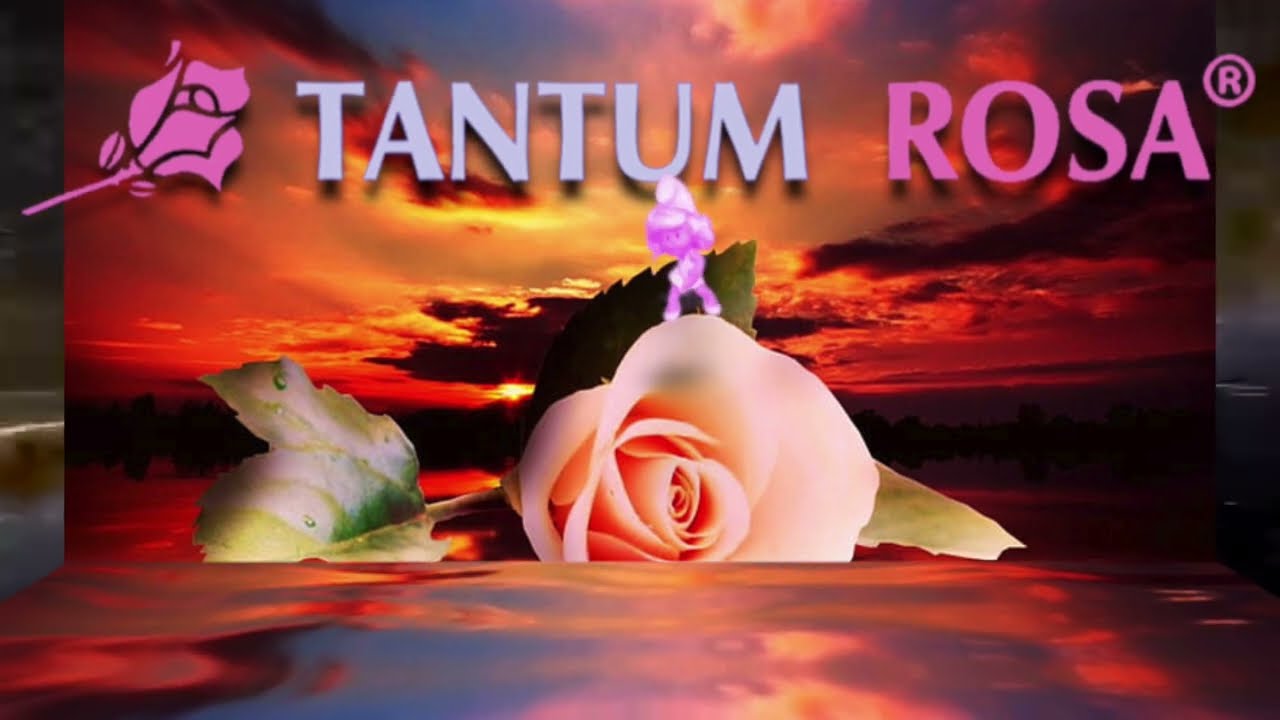 PAYPAUL feat HOWDY  -🤦&zwj;♂️TANTUM🌹ROSA