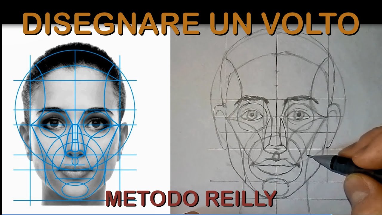 Come disegnare un volto col metodo di Reilly