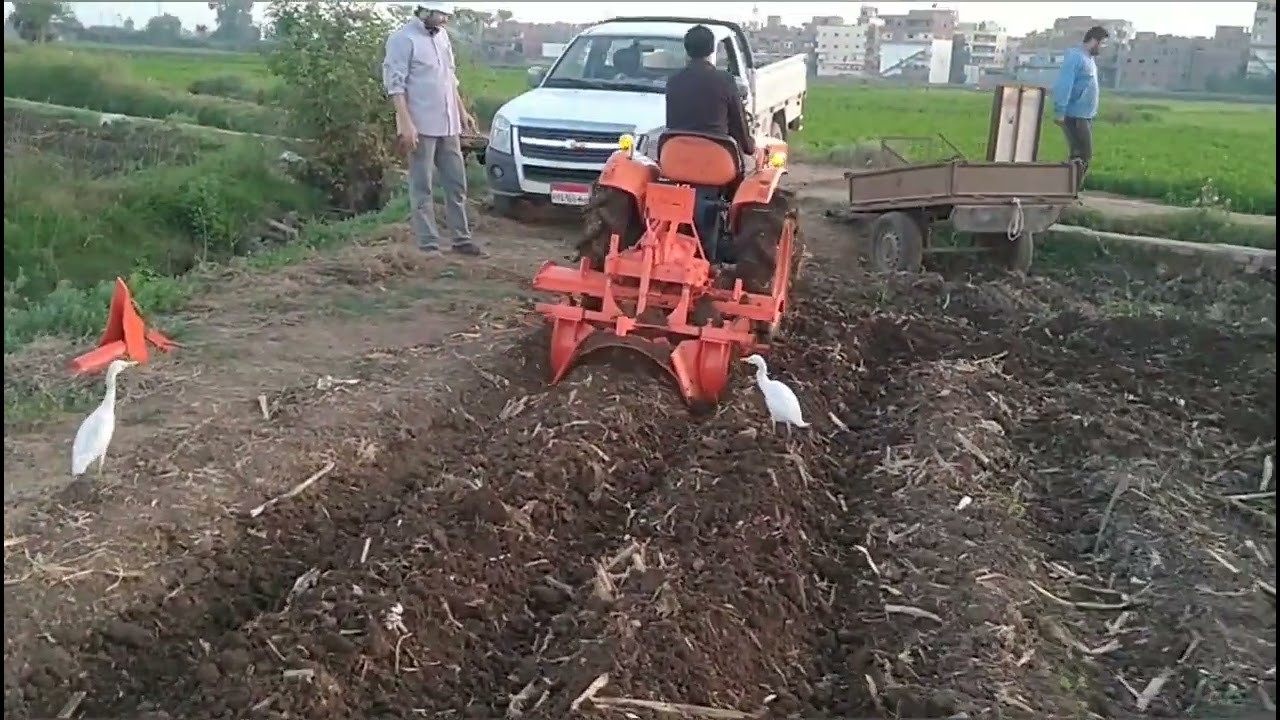 بتانه زراعه البطاطس بالجرار 22 حصان للاستفسار الاتصال على01200843027