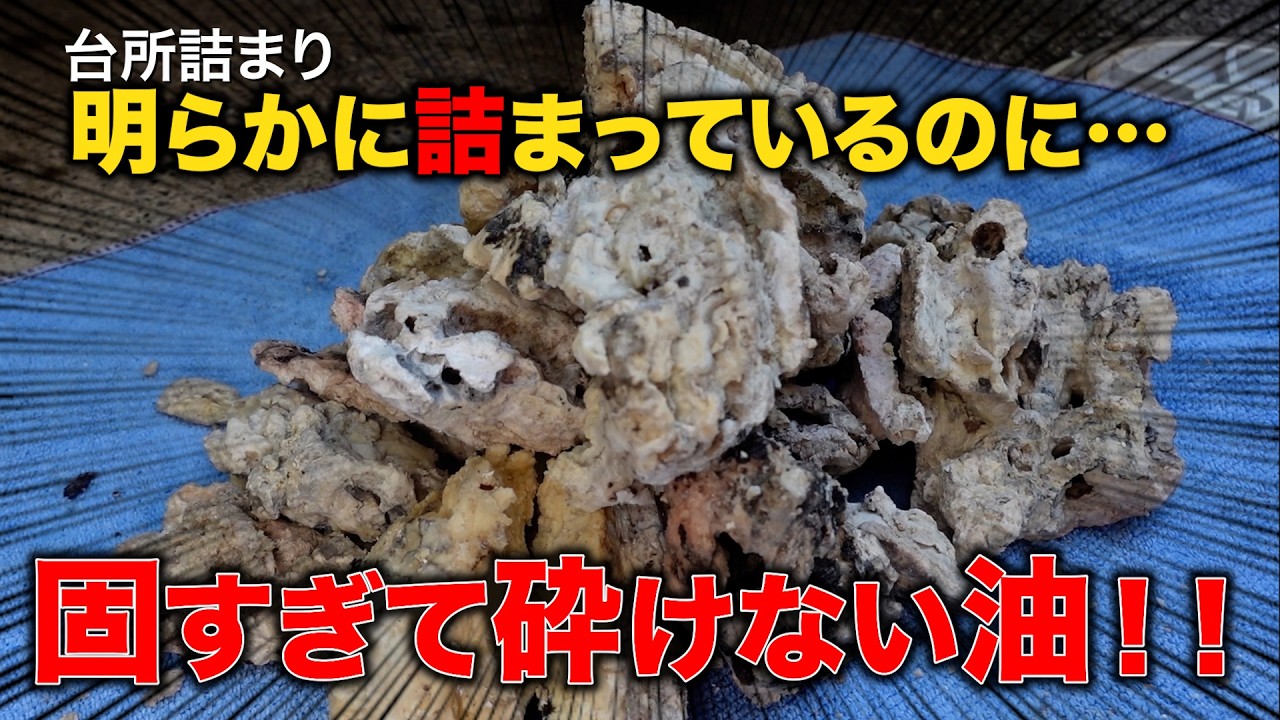 デケエ！！バールで砕くしかない！？４ｍの排水管にこの大きさの油！！【花のお掃除 #444】