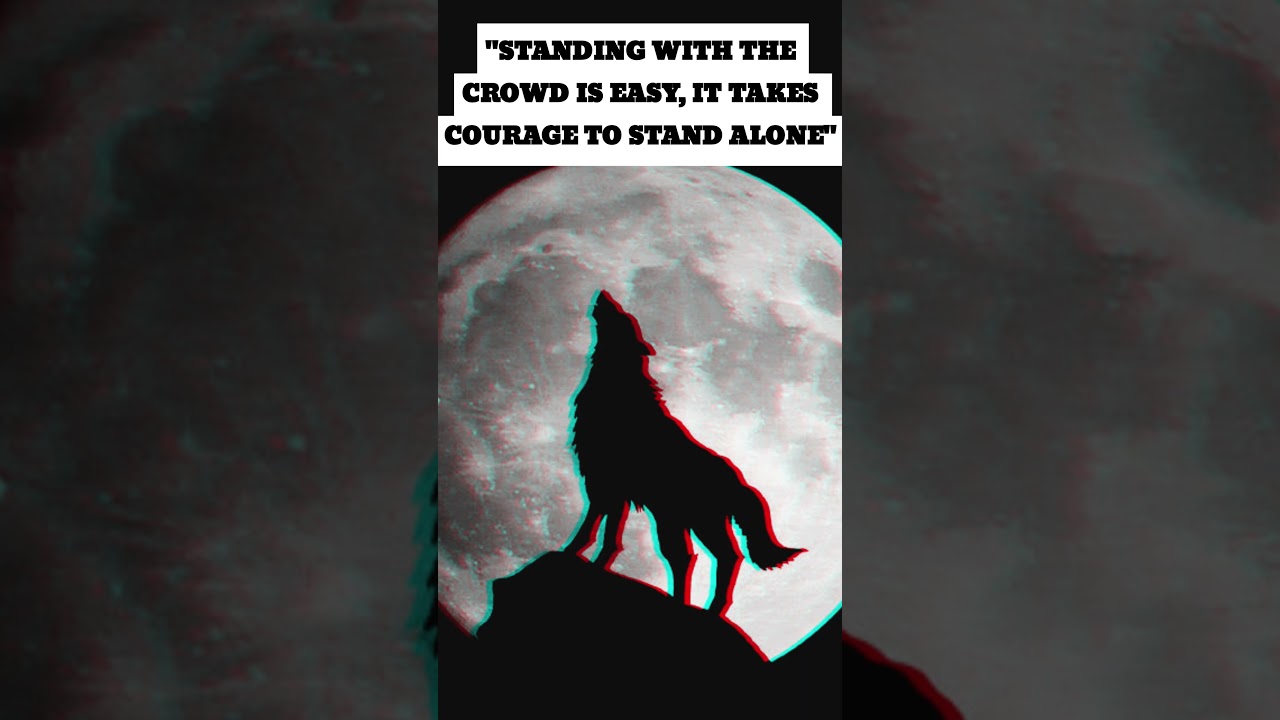 Stand Alone #wolf #motivation #courage #lonely #alone #lonelywolf #whatsappstatus #status