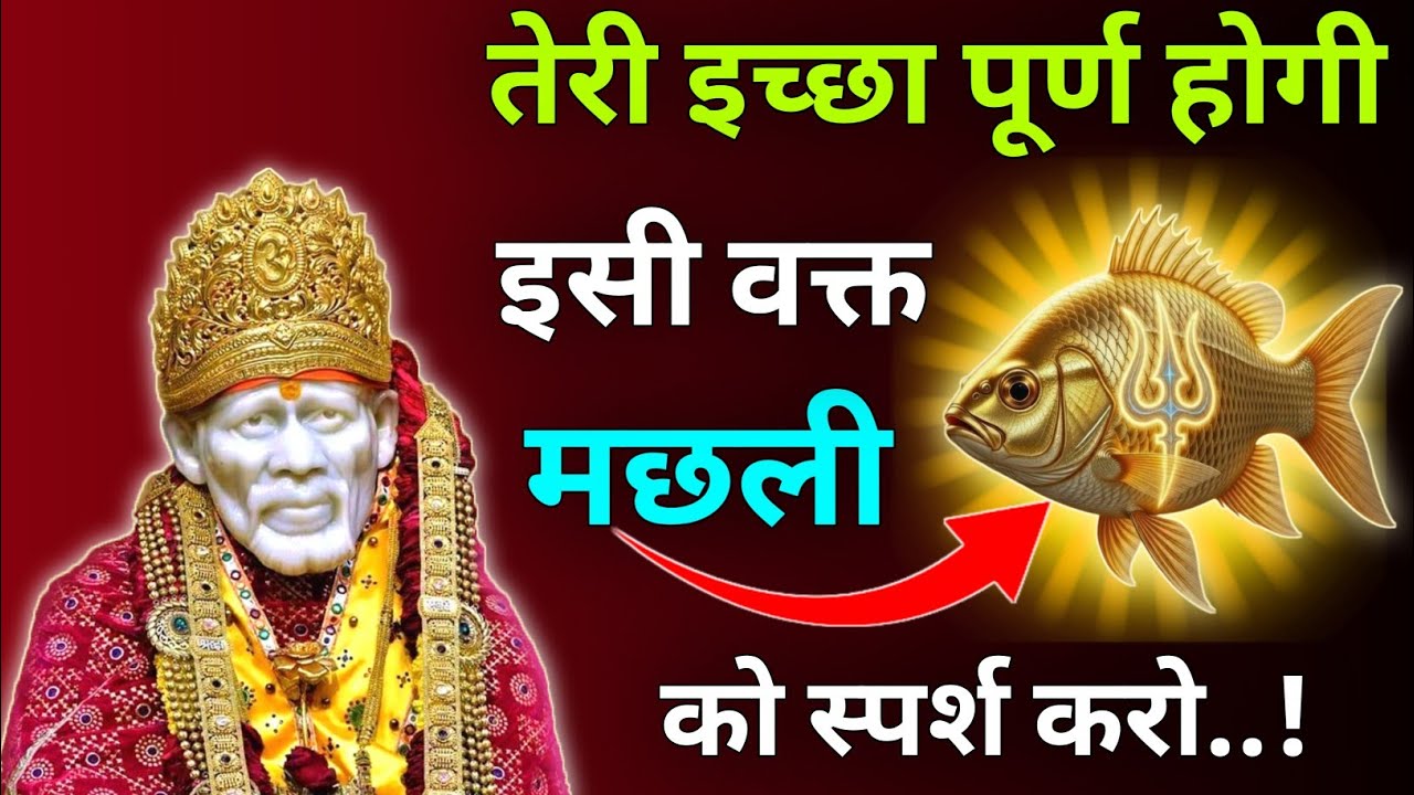तेरी इच्छा पूर्ण होगी इसी वक्त मछली को स्पर्श करो |Sai Updesh |Sai Vichar |Sai Vani |Sai Gyan 
