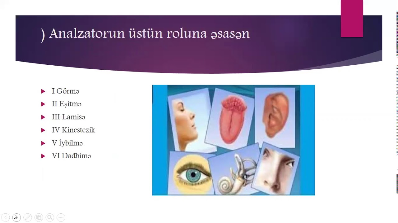 Əzizova Vəsilə Ümumi psixologiya Qavrayış1