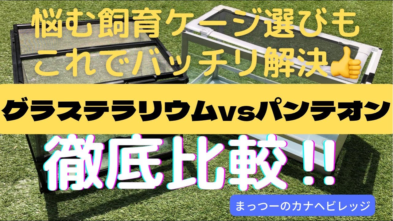 ◆グラステラリウムとパンテオン◆🏠買うならどっち❓