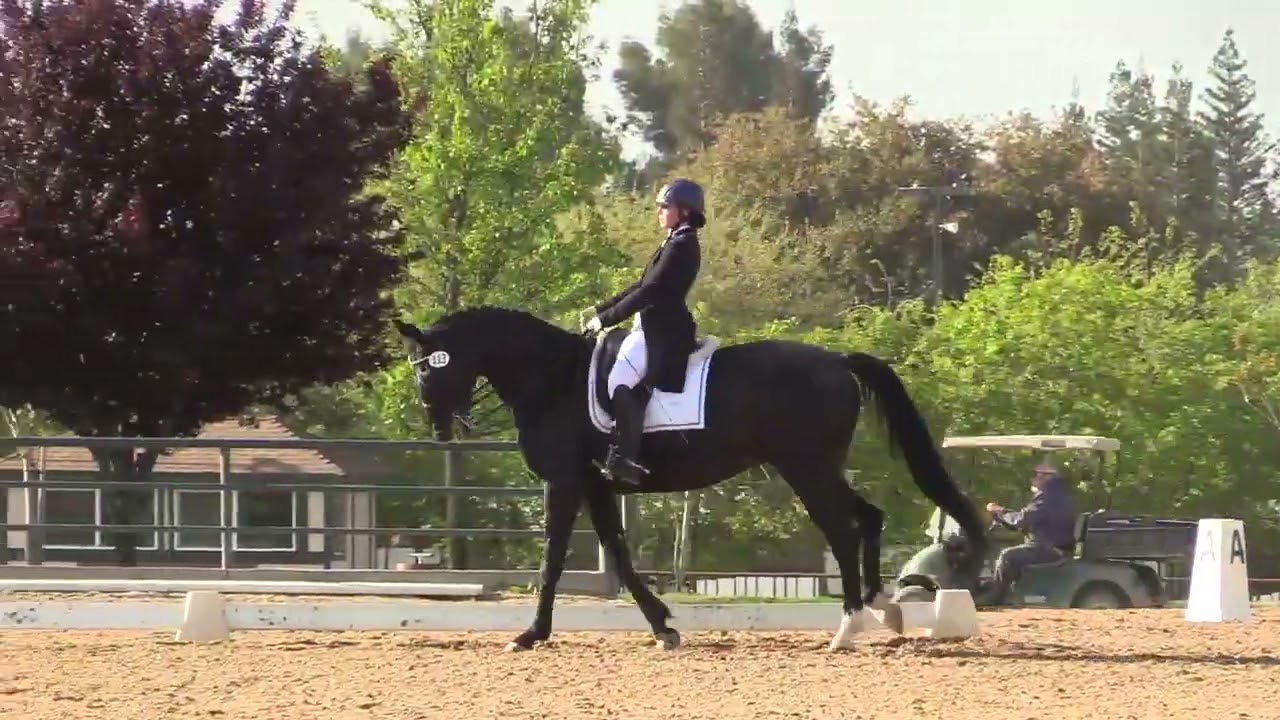 Easy Breezy Prix St. George with Claire Gunther