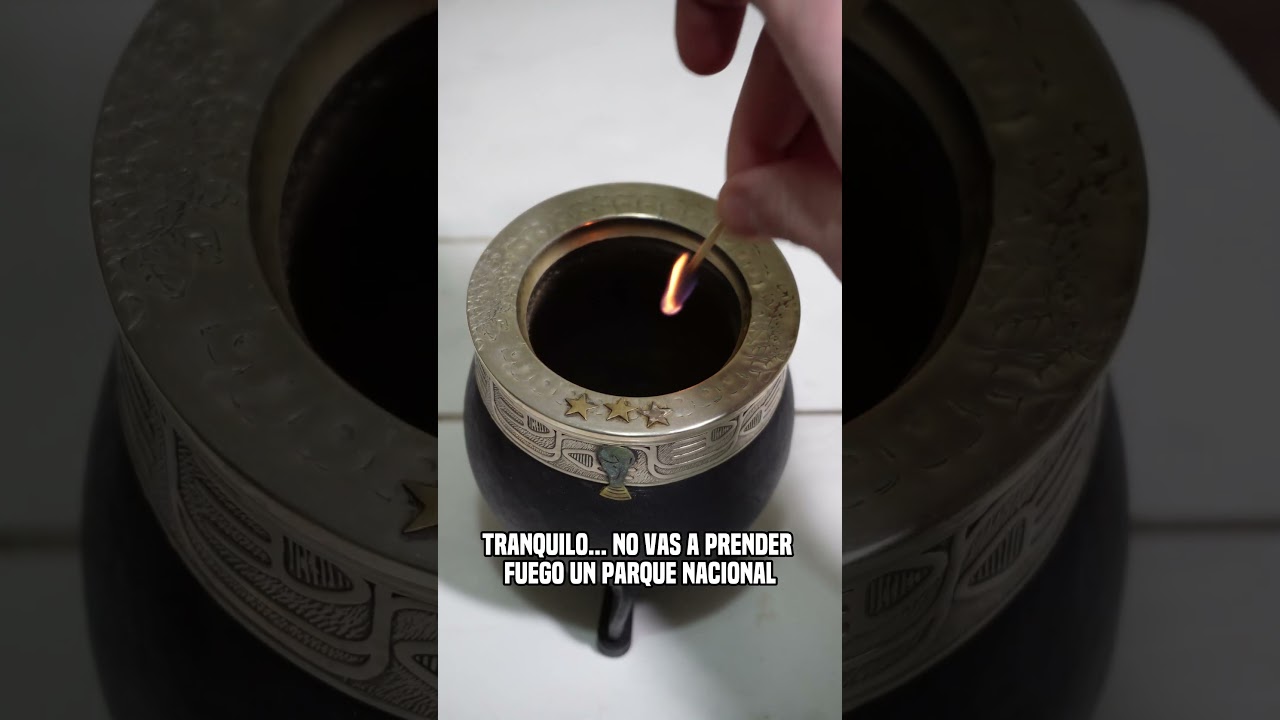 🤢❌C&oacute;mo sacar los HONGOS de tu MATE DE CALABAZA 🍄🧉