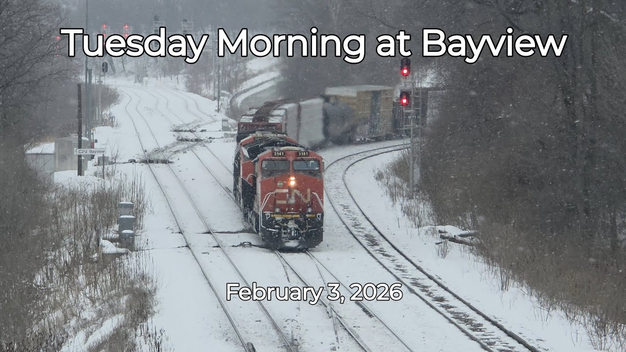 Tuesday Morning at Bayview • February 3, 2026