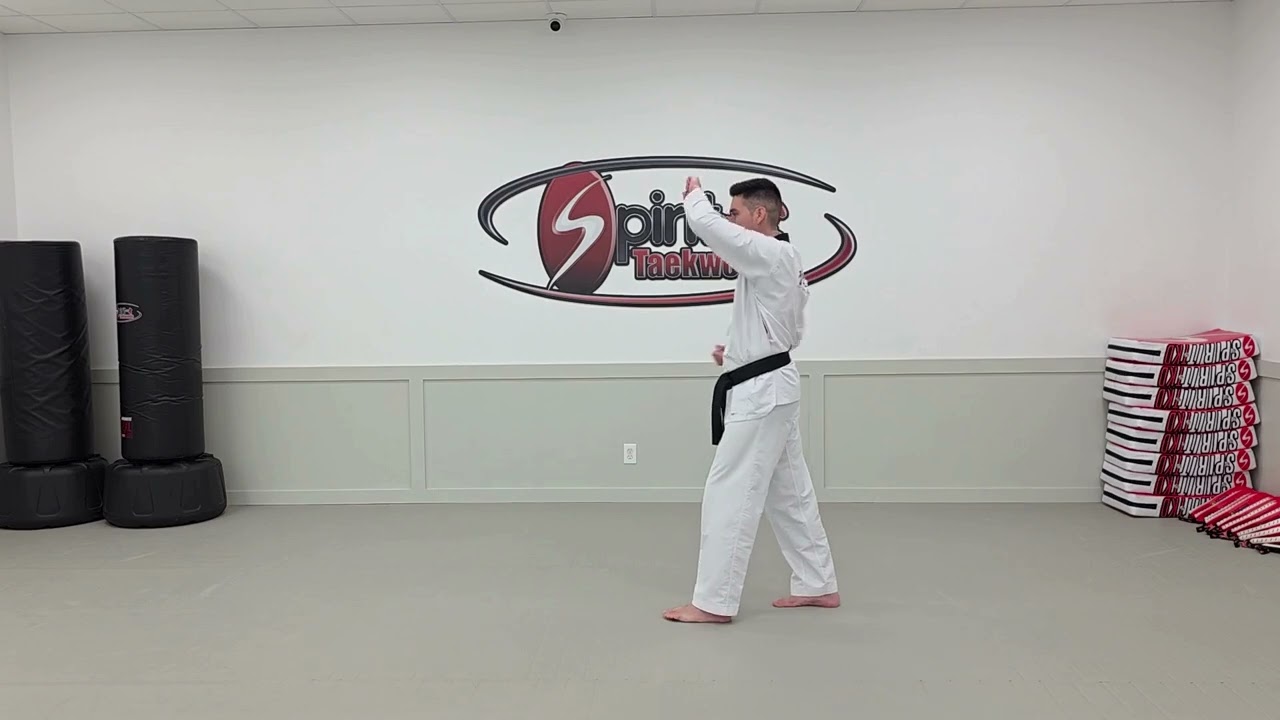 Poomsae Section White Belt