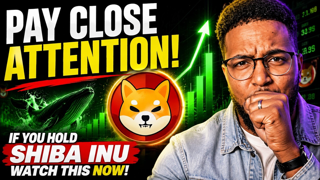 ЕСЛИ ВЫ ДЕРЖИТЕ SHIBA INU, СМОТРИТЕ ЭТО СЕЙЧАС! ВНИМАТЕЛЬНО следите за информацией!