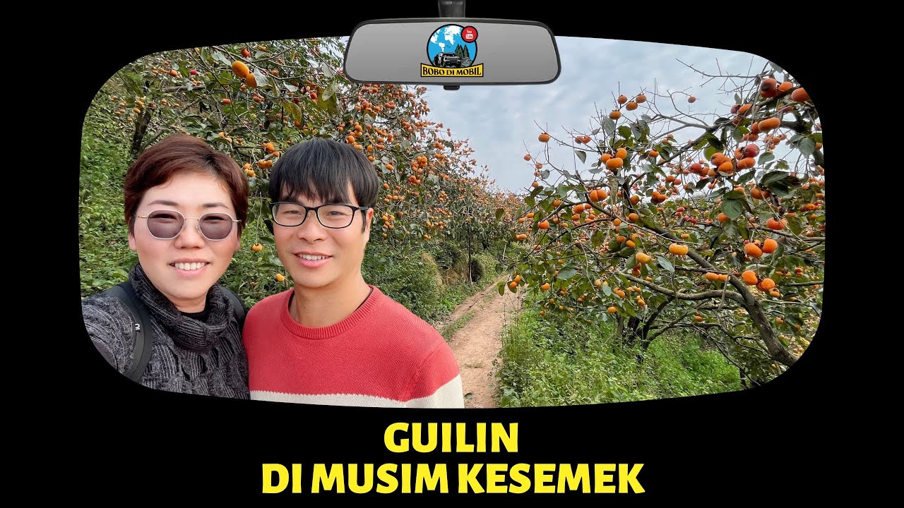 Et.3 Ep.71 | Guangxi GUILIN - Pas Musim Panen Kesemek