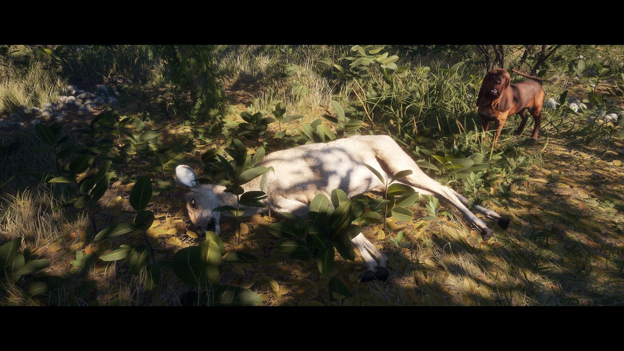 COTW E27