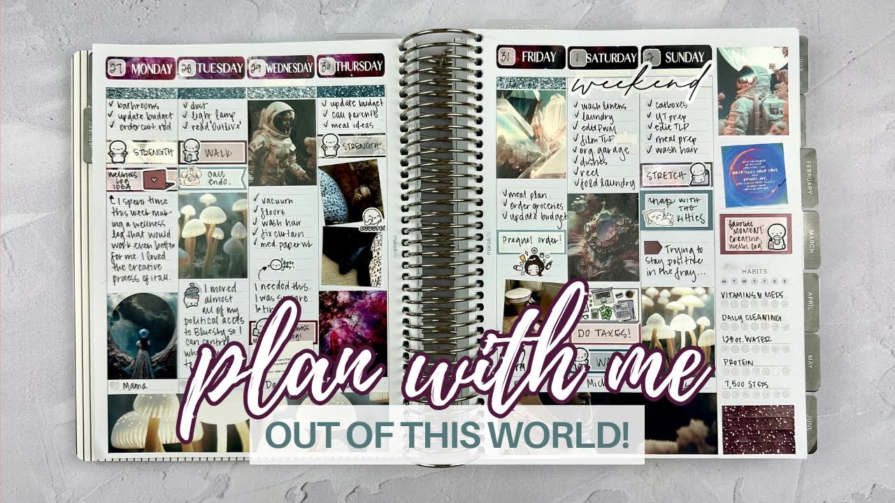 PLAN WITH ME | a spacey spread and kitten shenanigans | jan. 27-feb. 2 | #makselifeplanner