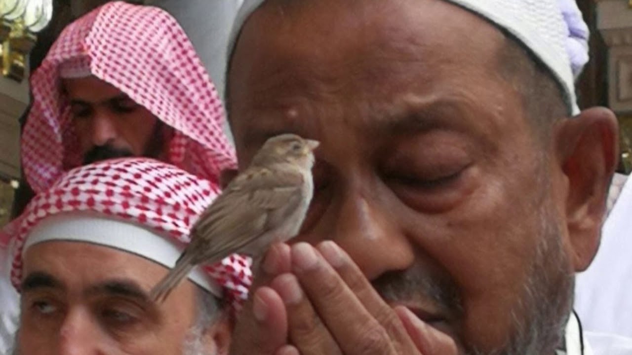 قصيدة يا من يرى ما في الضمير ويسمع  أداء مفتي الشيشان الشيخ صلاح مجييف (مؤثر)