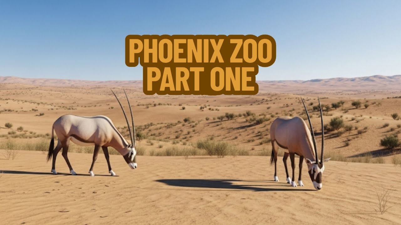 Phoenix Zoo Full Tour 2025 - Part One