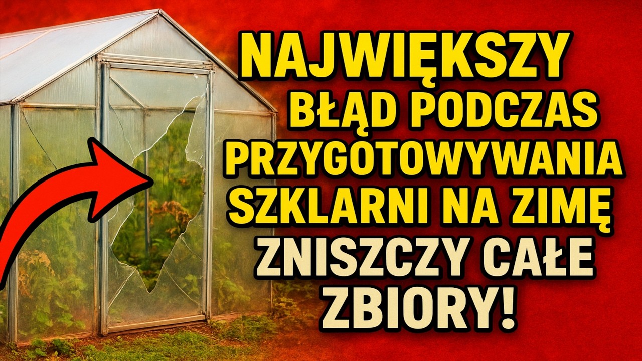 Największy błąd podczas przygotowywania szklarni na zimę — zniszczy całe zbiory! Oto, jak to zrobić