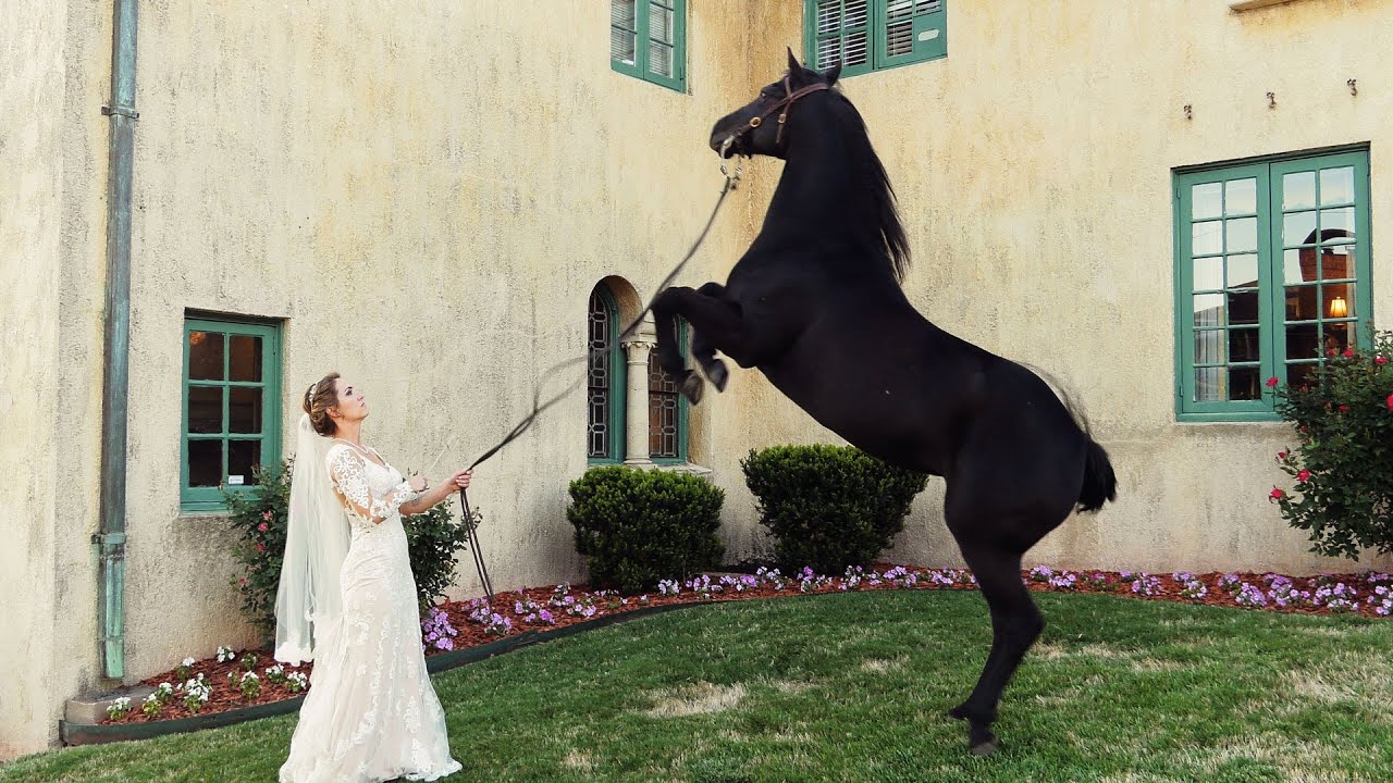 Bride's entrance on a horse made everyone smile and applaud - Tulsa Wedding Video at Dresser Mansion