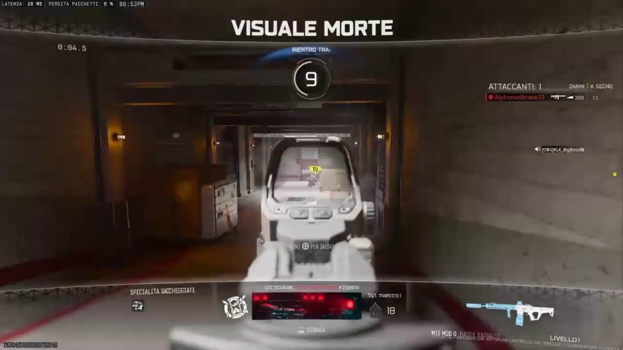 WZ