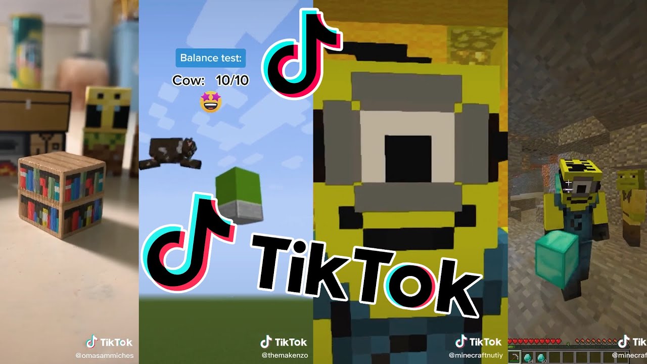 Minecraft COMPILATION (Best of 2020 TikTok Minecraft)
