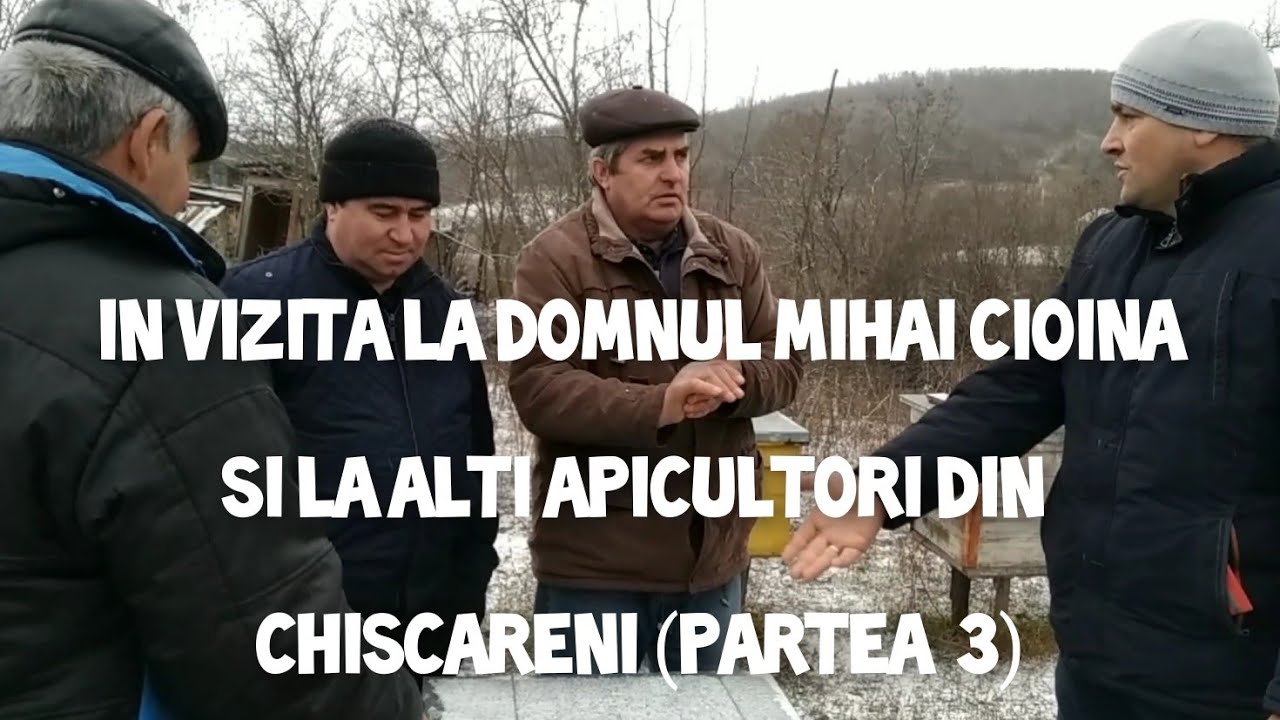 IN VIZITA LA DOMNUL MIHAI CIOINA SI LA ALTI APICULTORI DIN CHISCARENI (PARTEA 3) #