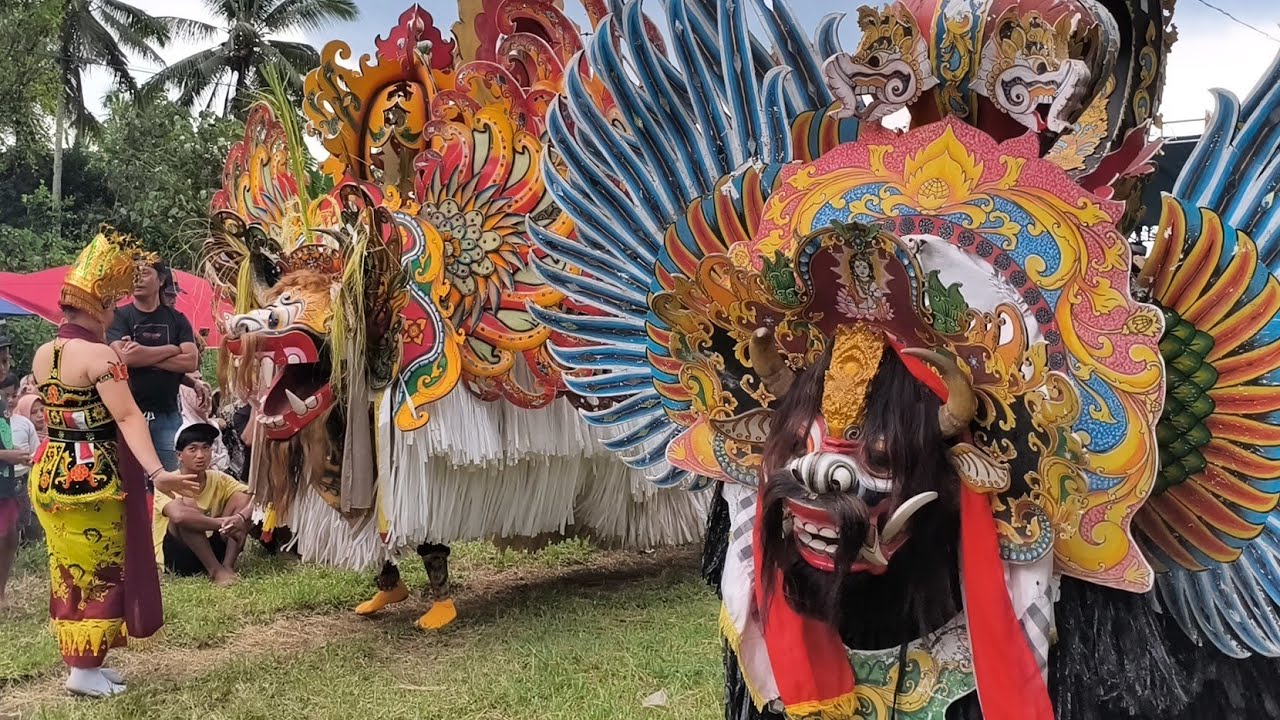 Atraksi Barong Ageng Buyut Mangir sak ndadi ne#jaranan Sekar Gondho Arum Live Kluncing Licin. 