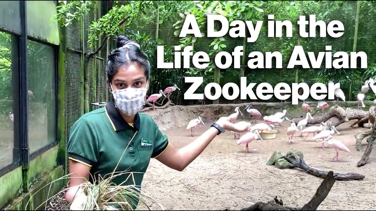 A Day In The Life Of An Avian ZooKeeper | #TheGreatIndoorsWRS
