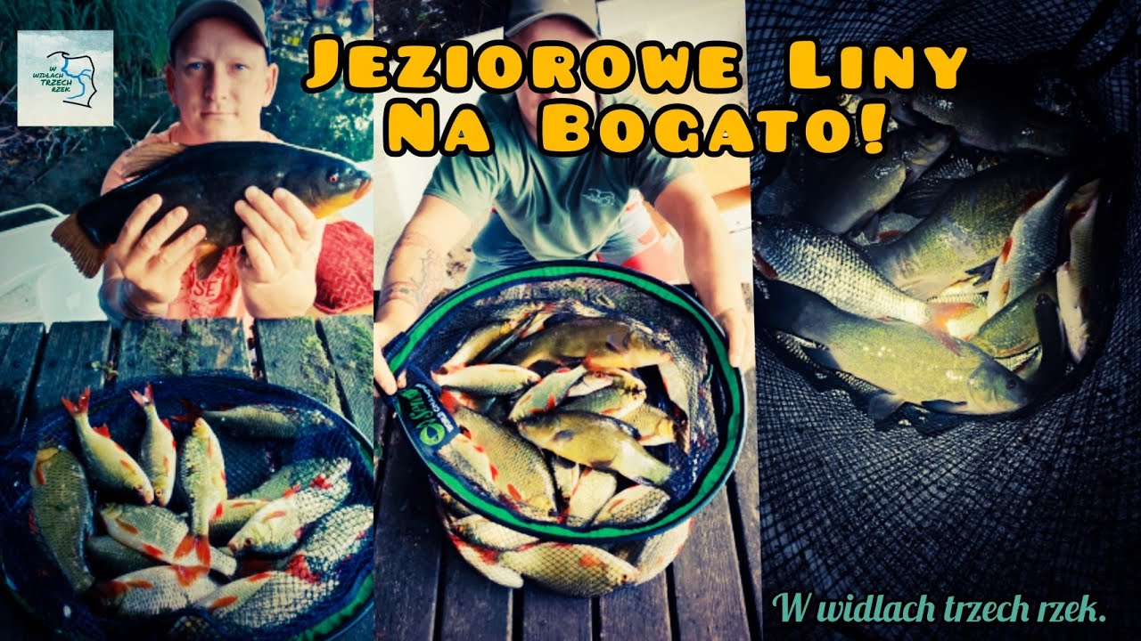 Jeziorowe Liny na bogato!