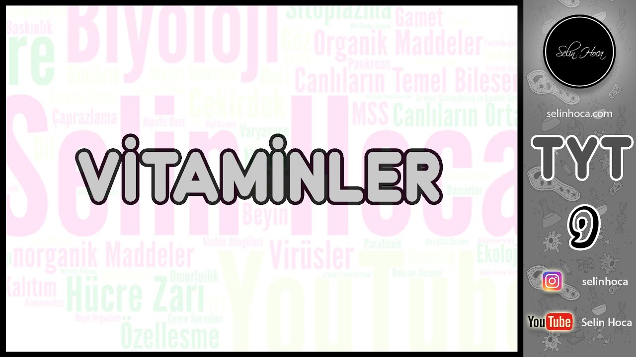 6) Vitaminler