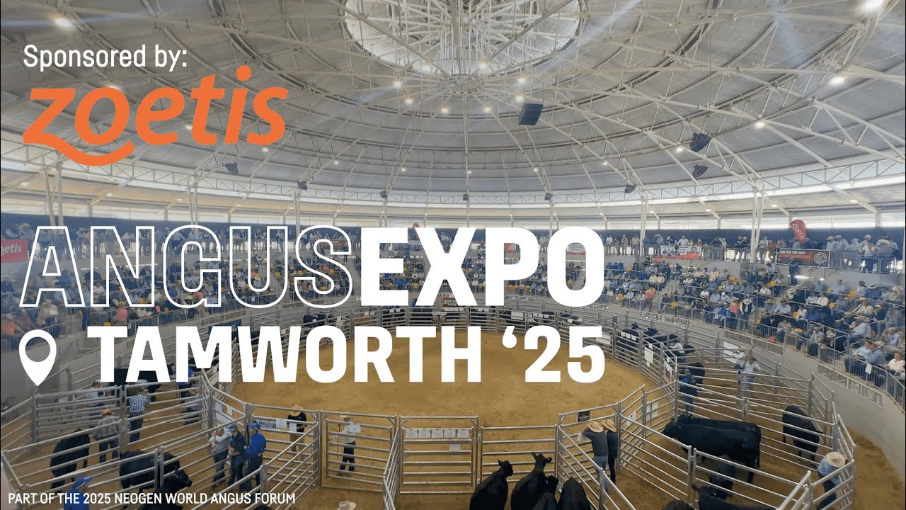 Zoetis AngusEXPO 2025 – A Record-Breaking Celebration of Angus Cattle | Official Wrap-Up