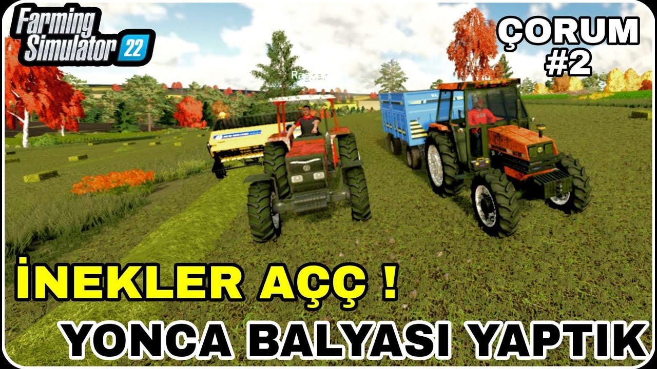 3 TARLANINDA YONCA İŞİNİ BEN YAPTIM / ÇORUM #2