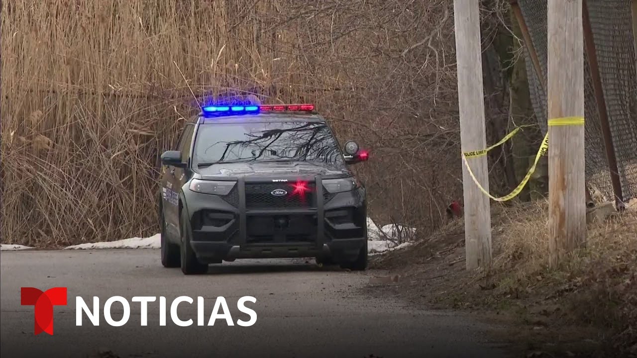 Un hombre que paseaba a su perro halló a dos niñas muertas en una maleta | Noticias Telemundo